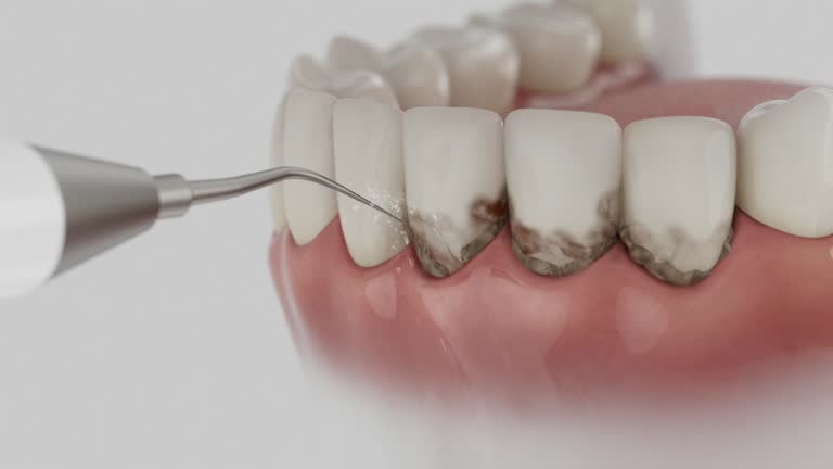 Reliable Dental contractor in Harris County County, TX by Dentist Open Now